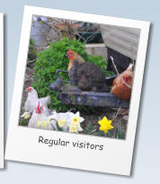 Regular visitors