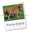 Prince Erland