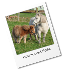 Patience and Eddie