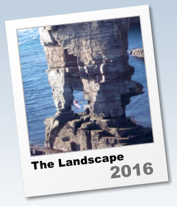 The Landscape  2016