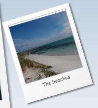 The beaches